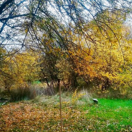 La Yurta De Gaia Villa Сан Лоренсо де Ел Ескориал Екстериор снимка